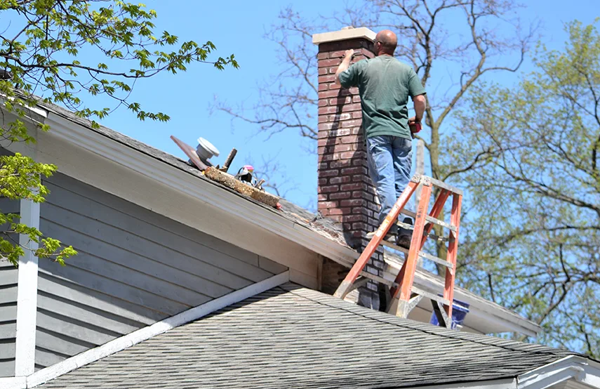 Chimney & Fireplace Inspections Services in Brookfield, IL